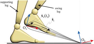 Human-Inspired Online Path Planning and Biped Walking Realization in Unknown Environment